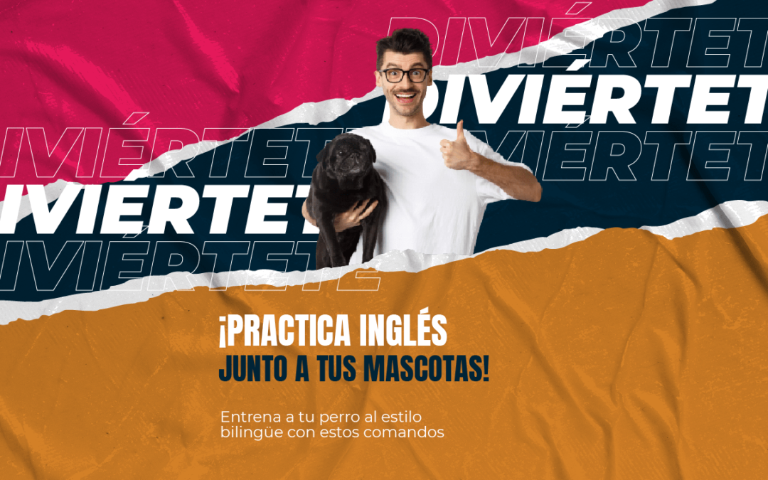 ¡Practica inglés junto a tus mascotas! Entrena a tu perro al estilo bilingüe con estos comandos